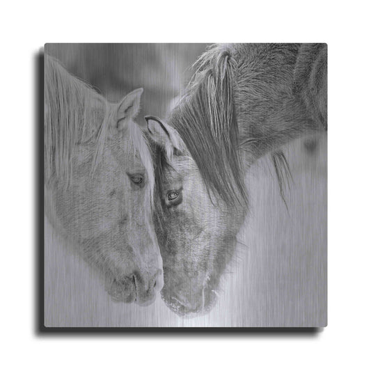 Luxe Metal Art 'BandW Horses VII' by PH Burchett, Metal Wall Art