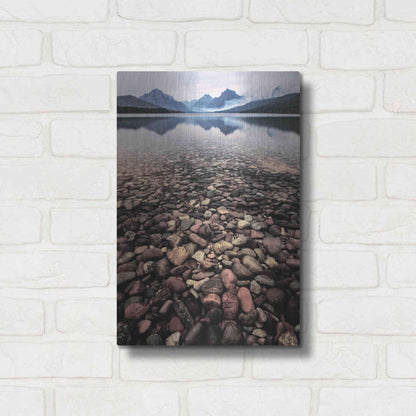 Luxe Metal Art 'Wild I' by PH Burchett, Metal Wall Art,12x16