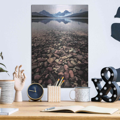 Luxe Metal Art 'Wild I' by PH Burchett, Metal Wall Art,12x16