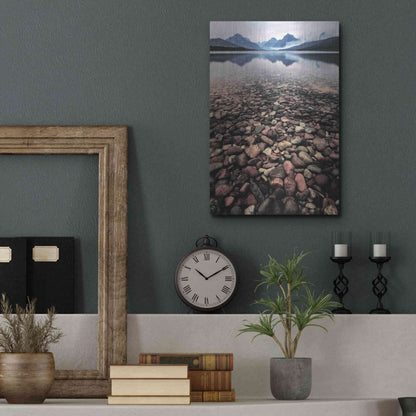 Luxe Metal Art 'Wild I' by PH Burchett, Metal Wall Art,12x16
