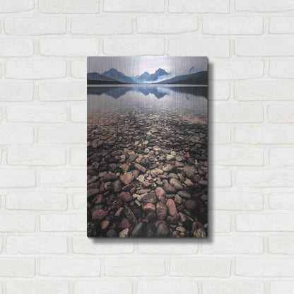 Luxe Metal Art 'Wild I' by PH Burchett, Metal Wall Art,16x24