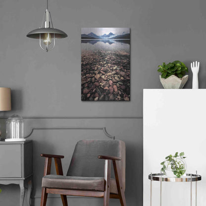 Luxe Metal Art 'Wild I' by PH Burchett, Metal Wall Art,16x24