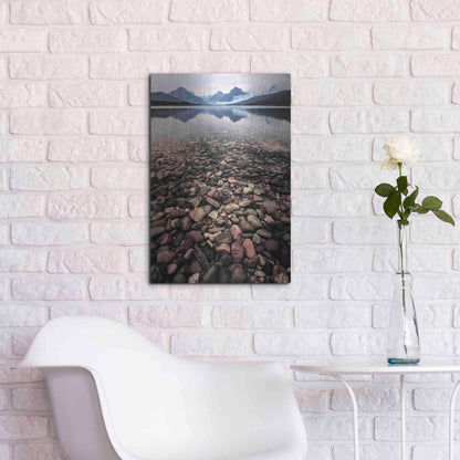 Luxe Metal Art 'Wild I' by PH Burchett, Metal Wall Art,16x24