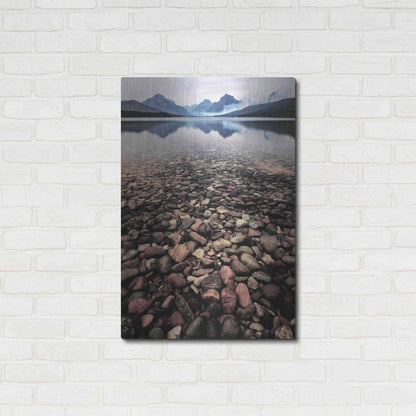 Luxe Metal Art 'Wild I' by PH Burchett, Metal Wall Art,24x36