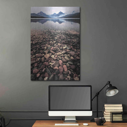 Luxe Metal Art 'Wild I' by PH Burchett, Metal Wall Art,24x36