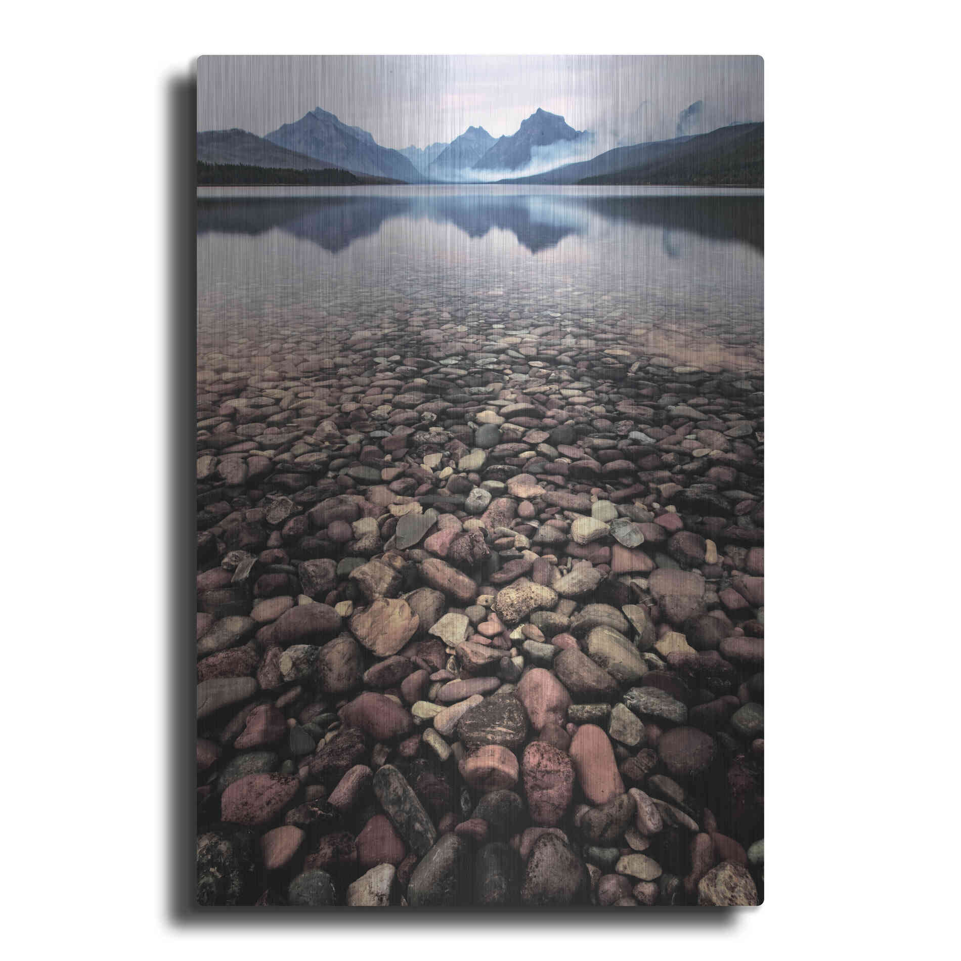 Luxe Metal Art 'Wild I' by PH Burchett, Metal Wall Art