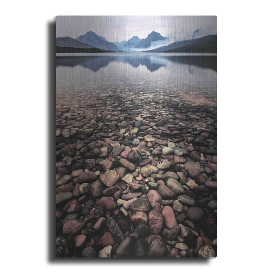 Luxe Metal Art 'Wild I' by PH Burchett, Metal Wall Art