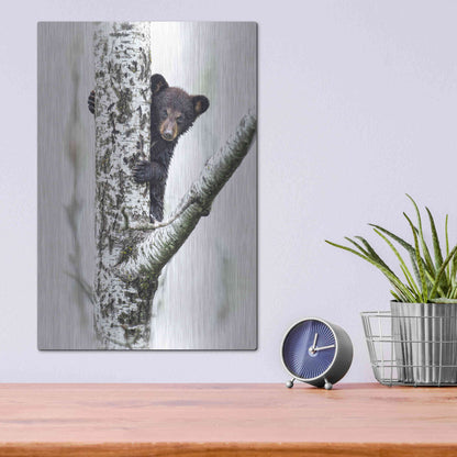 Luxe Metal Art 'Bears at Play V' by PH Burchett, Metal Wall Art,12x16