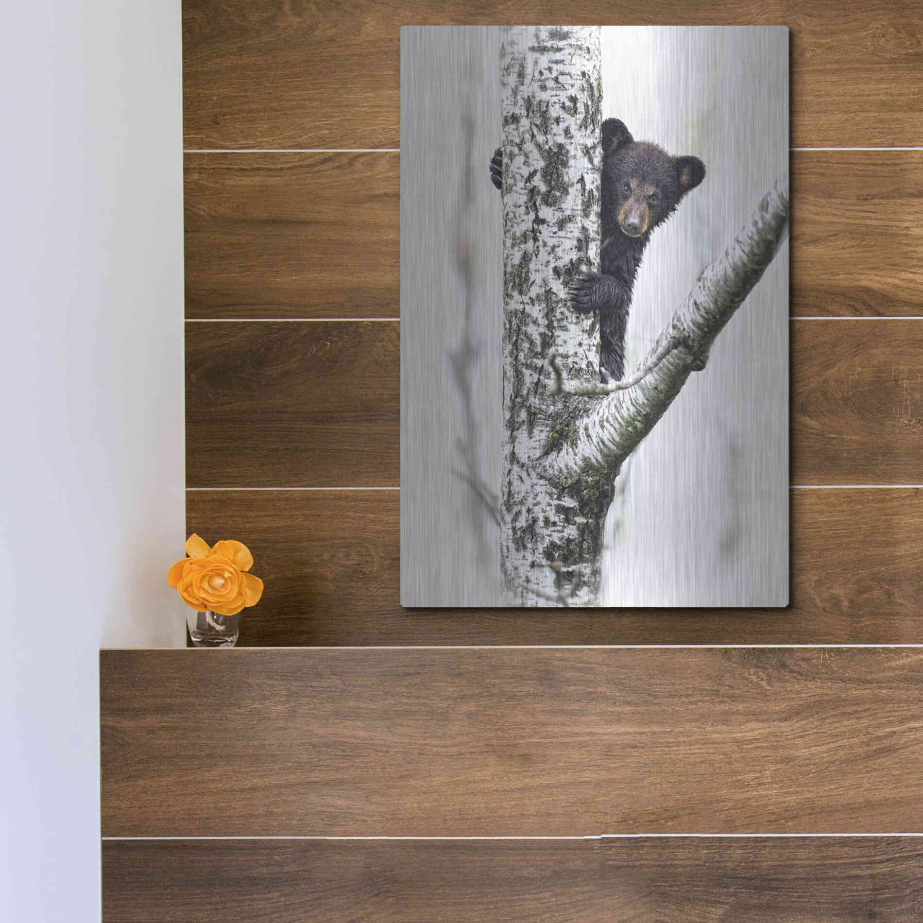 Luxe Metal Art 'Bears at Play V' by PH Burchett, Metal Wall Art,12x16