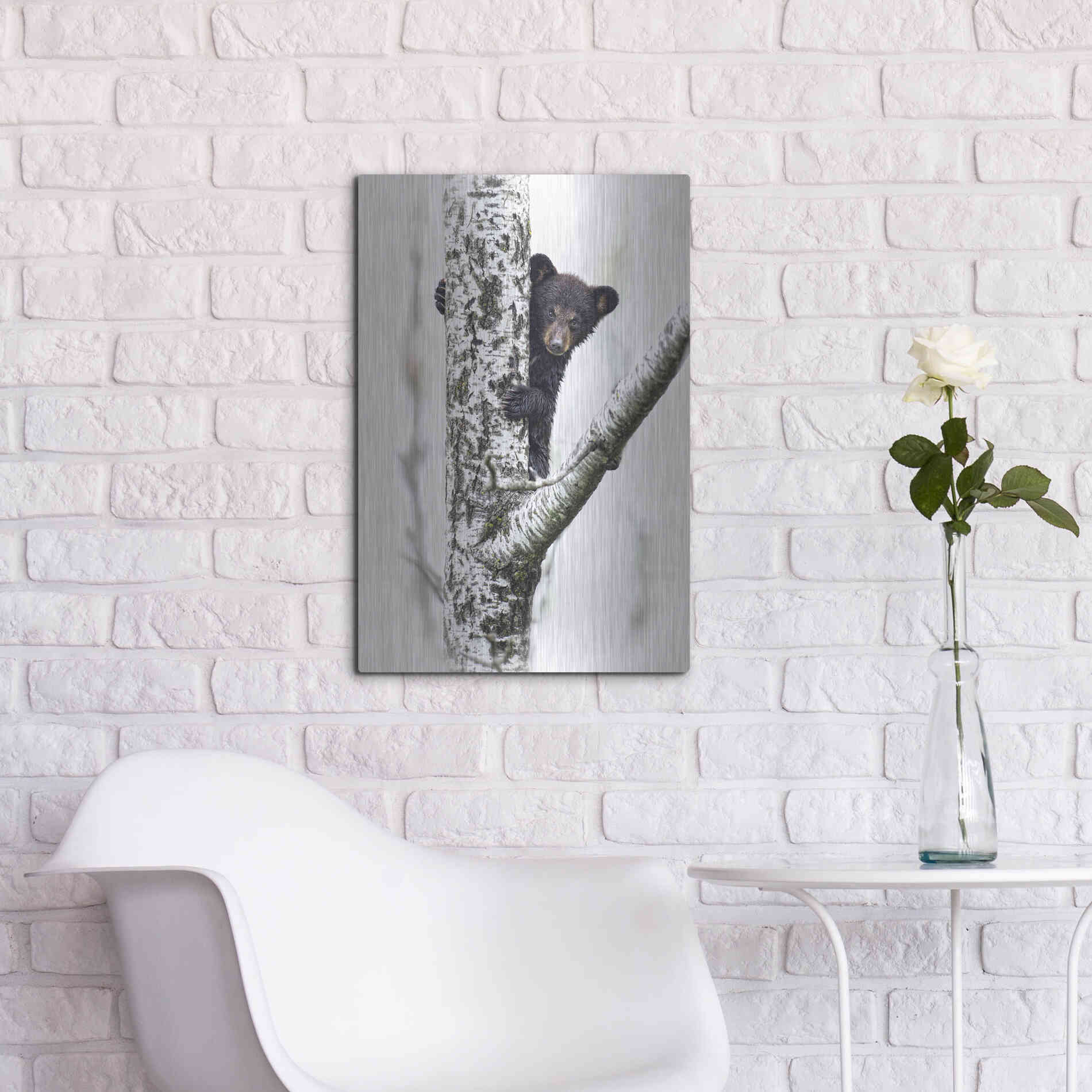 Luxe Metal Art 'Bears at Play V' by PH Burchett, Metal Wall Art,16x24