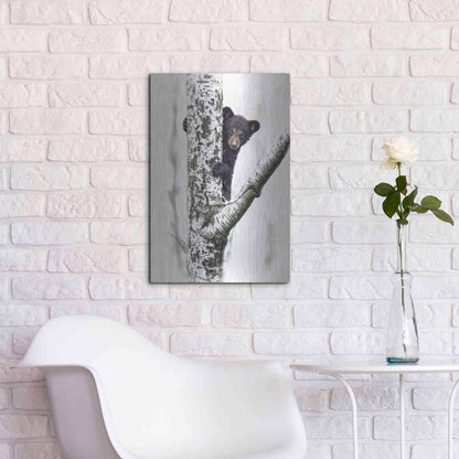 Luxe Metal Art 'Bears at Play V' by PH Burchett, Metal Wall Art,16x24