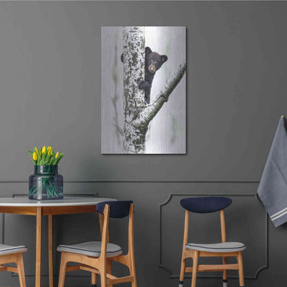 Luxe Metal Art 'Bears at Play V' by PH Burchett, Metal Wall Art,24x36