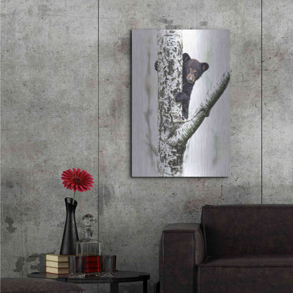 Luxe Metal Art 'Bears at Play V' by PH Burchett, Metal Wall Art,24x36