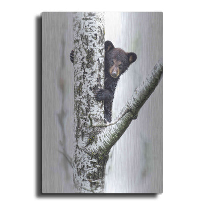 Luxe Metal Art 'Bears at Play V' by PH Burchett, Metal Wall Art