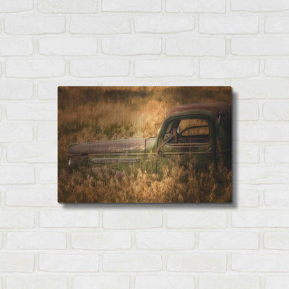 Luxe Metal Art 'Farm and Field V' by PH Burchett, Metal Wall Art,24x16