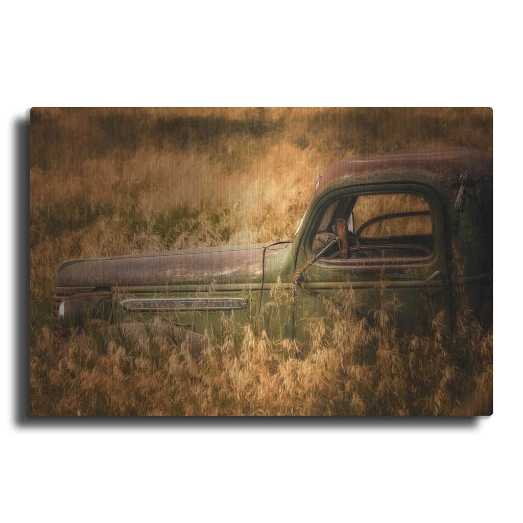 Luxe Metal Art 'Farm and Field V' by PH Burchett, Metal Wall Art