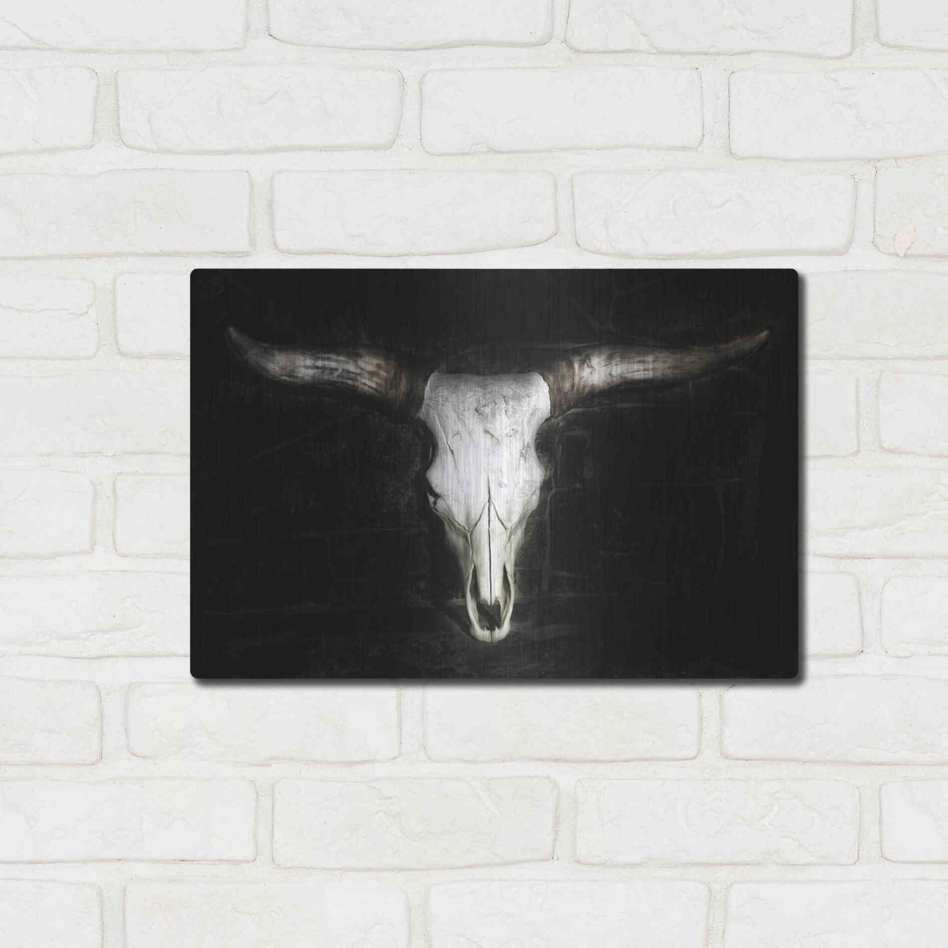 Luxe Metal Art 'Cow Skull' by PH Burchett, Metal Wall Art,16x12