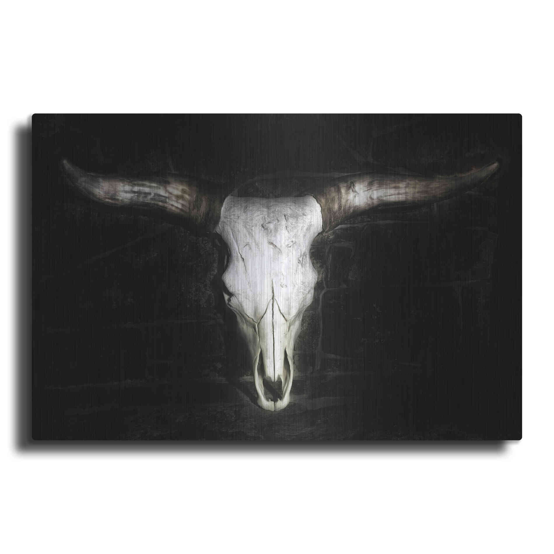 Luxe Metal Art 'Cow Skull' by PH Burchett, Metal Wall Art