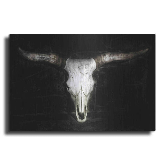 Luxe Metal Art 'Cow Skull' by PH Burchett, Metal Wall Art