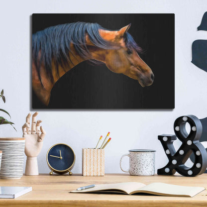 Luxe Metal Art 'Wind Swept' by PH Burchett, Metal Wall Art,16x12