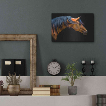 Luxe Metal Art 'Wind Swept' by PH Burchett, Metal Wall Art,16x12