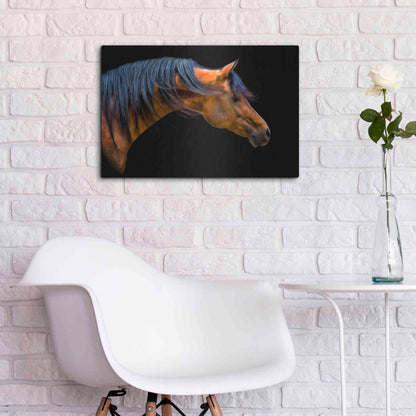 Luxe Metal Art 'Wind Swept' by PH Burchett, Metal Wall Art,24x16