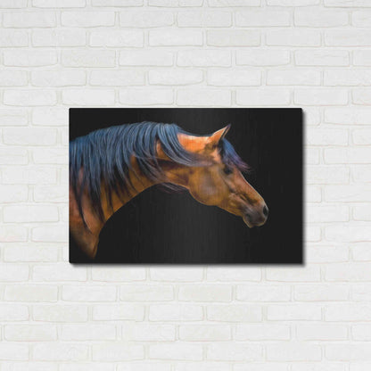 Luxe Metal Art 'Wind Swept' by PH Burchett, Metal Wall Art,36x24