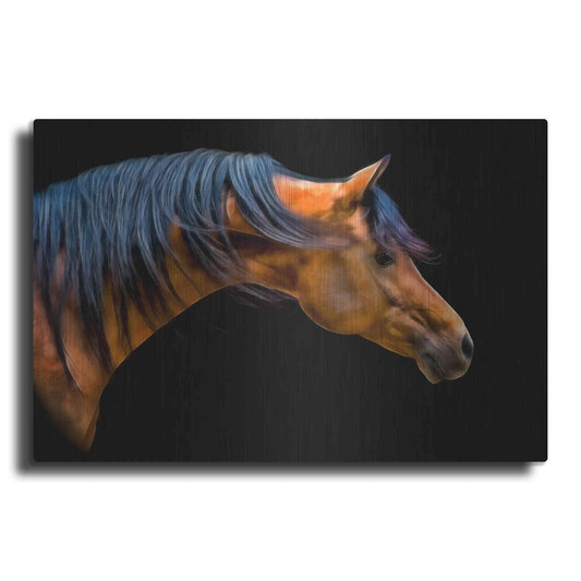 Luxe Metal Art 'Wind Swept' by PH Burchett, Metal Wall Art