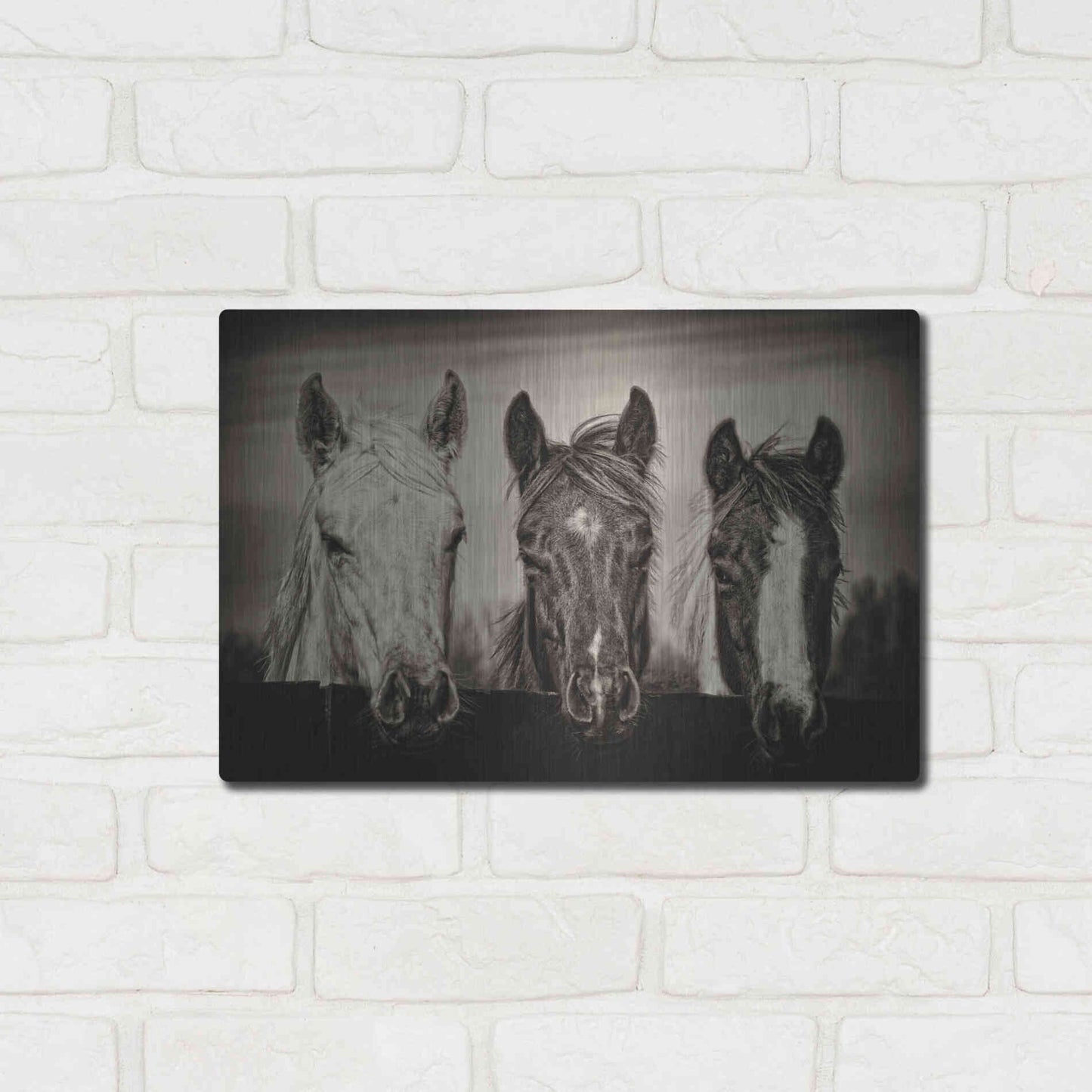 Luxe Metal Art 'Three Amigos I' by PH Burchett, Metal Wall Art,16x12