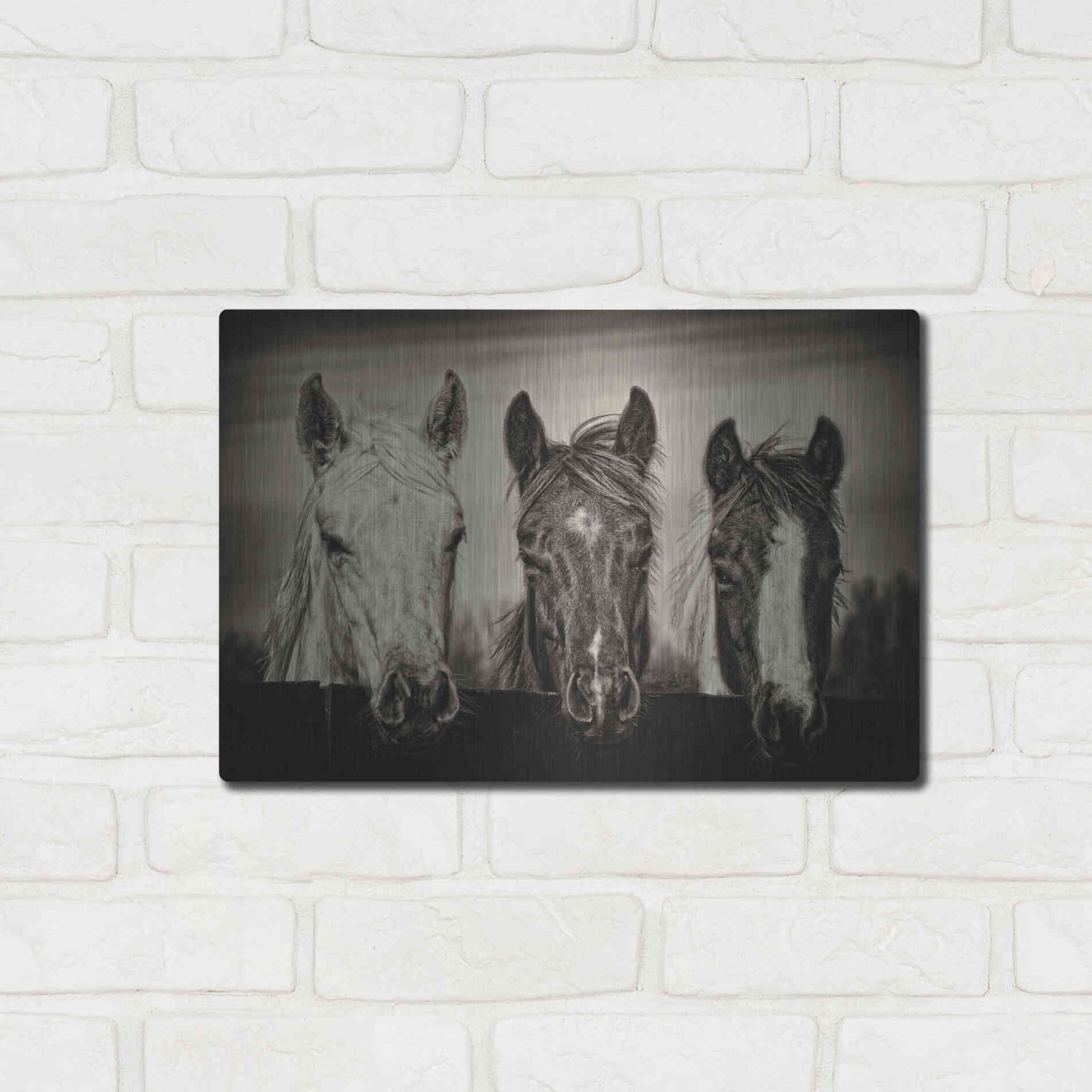 Luxe Metal Art 'Three Amigos I' by PH Burchett, Metal Wall Art,16x12