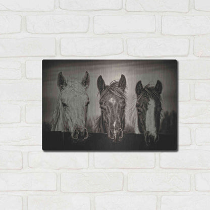 Luxe Metal Art 'Three Amigos I' by PH Burchett, Metal Wall Art,16x12