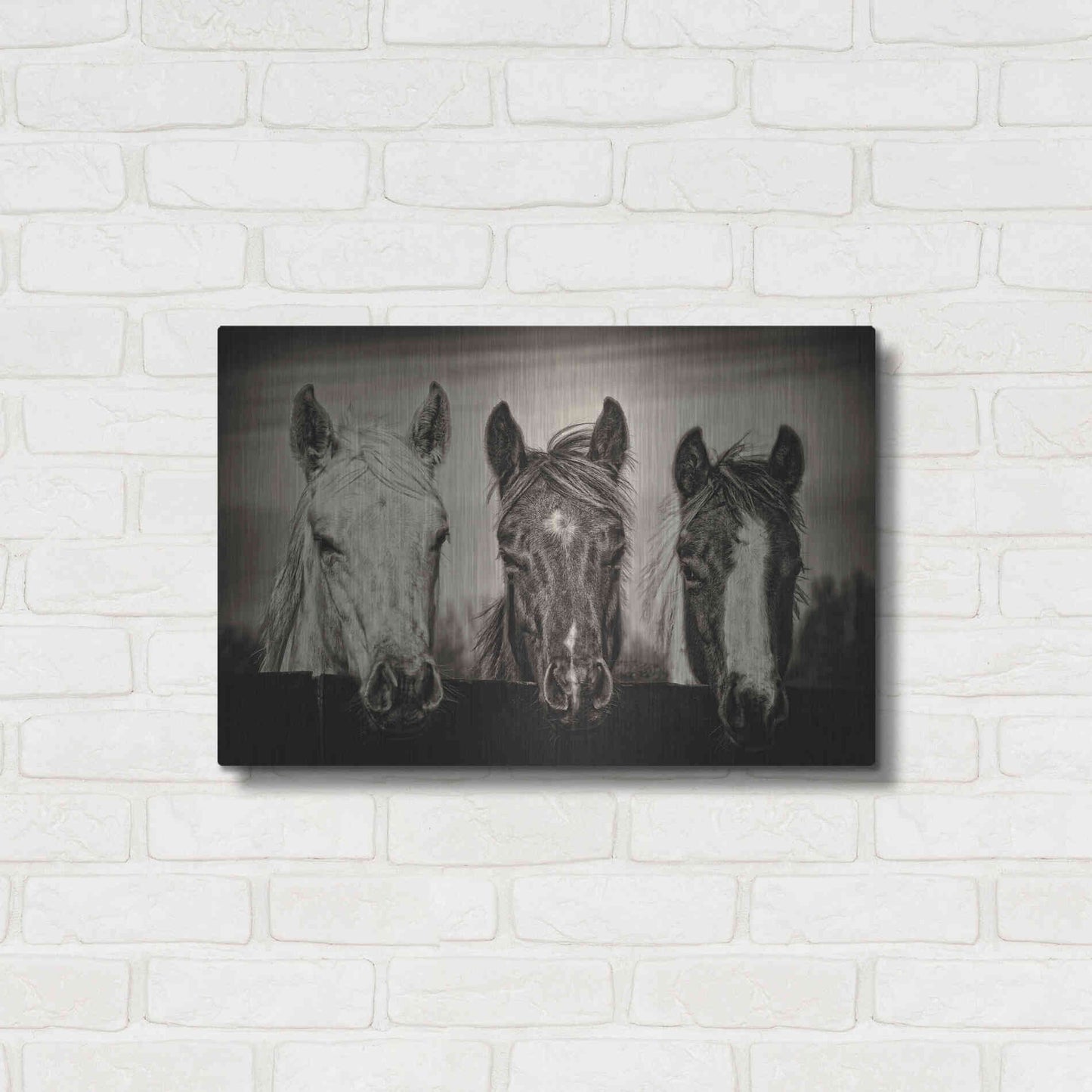 Luxe Metal Art 'Three Amigos I' by PH Burchett, Metal Wall Art,24x16