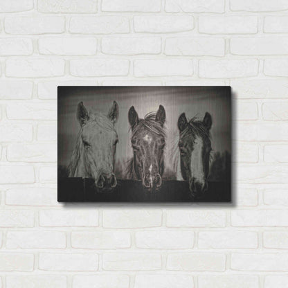 Luxe Metal Art 'Three Amigos I' by PH Burchett, Metal Wall Art,24x16