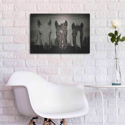 Luxe Metal Art 'Three Amigos I' by PH Burchett, Metal Wall Art,24x16