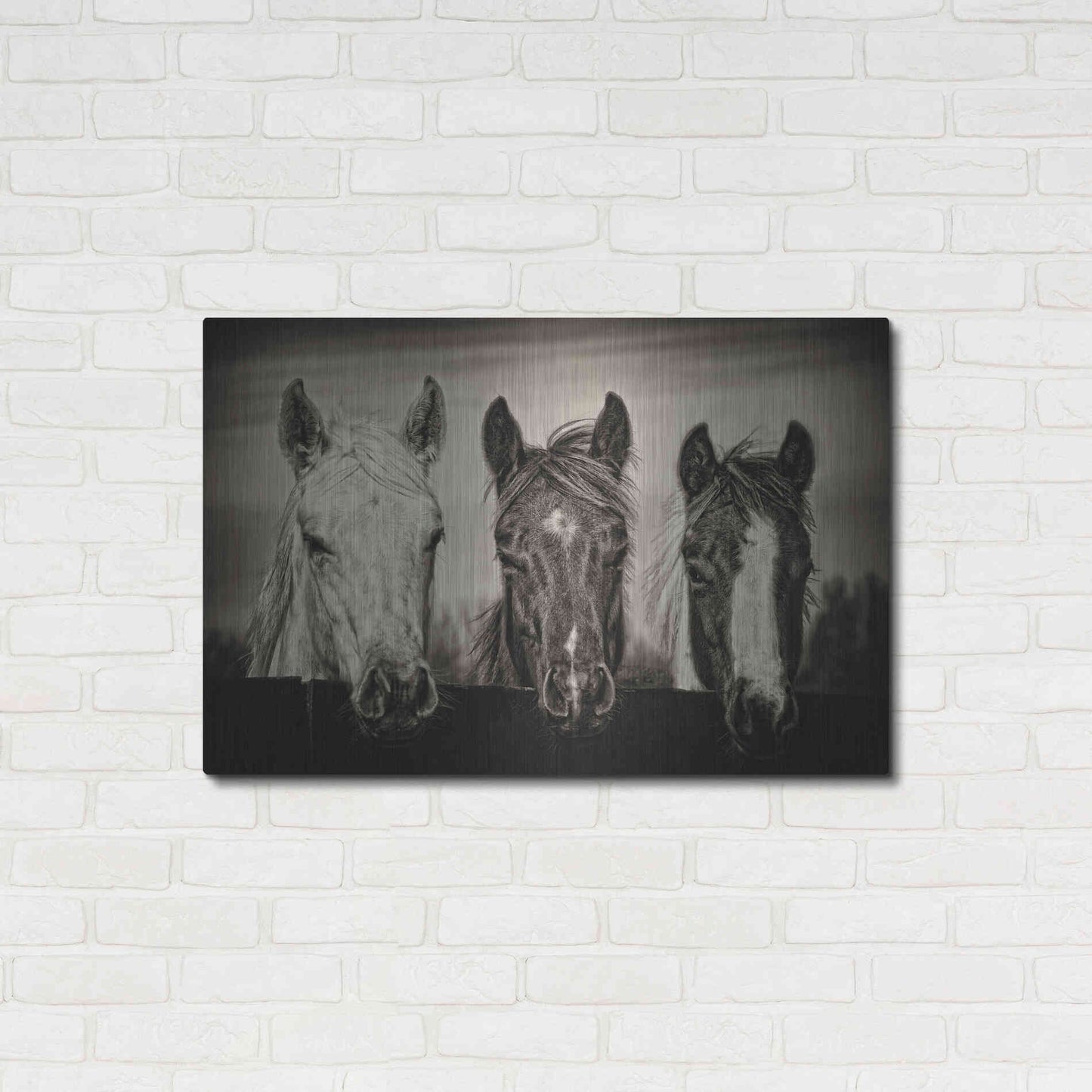 Luxe Metal Art 'Three Amigos I' by PH Burchett, Metal Wall Art,36x24