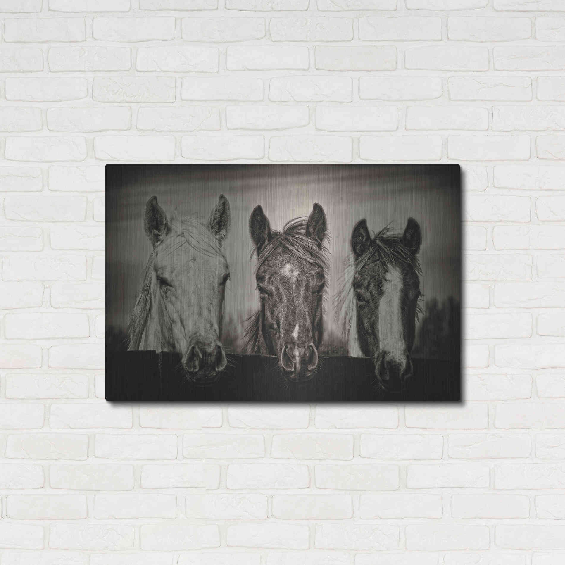 Luxe Metal Art 'Three Amigos I' by PH Burchett, Metal Wall Art,36x24