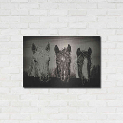 Luxe Metal Art 'Three Amigos I' by PH Burchett, Metal Wall Art,36x24
