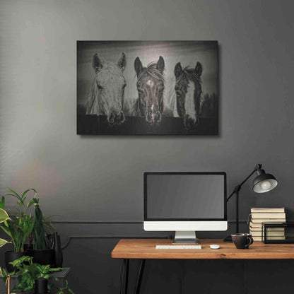 Luxe Metal Art 'Three Amigos I' by PH Burchett, Metal Wall Art,36x24