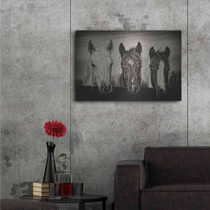 Luxe Metal Art 'Three Amigos I' by PH Burchett, Metal Wall Art,36x24