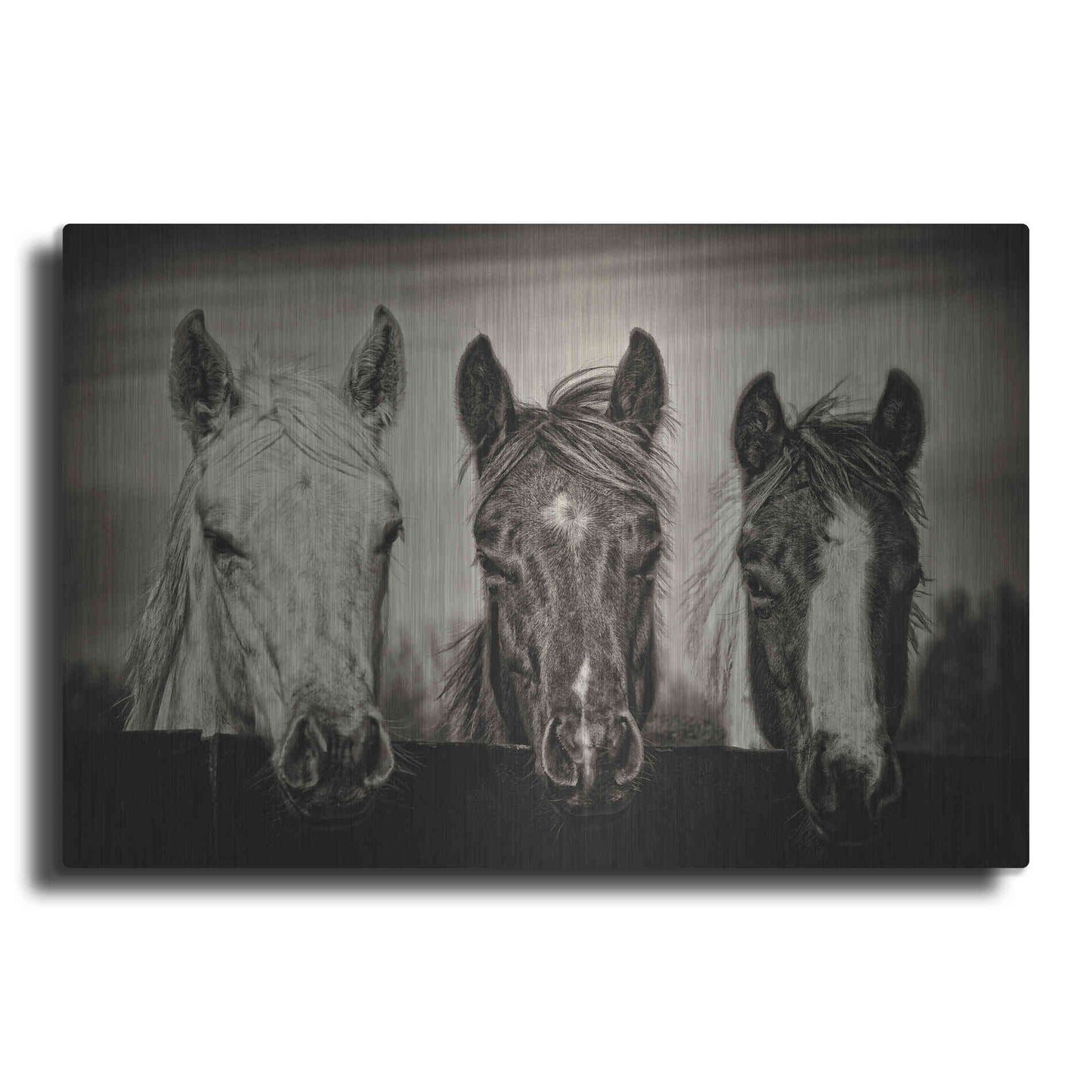 Luxe Metal Art 'Three Amigos I' by PH Burchett, Metal Wall Art