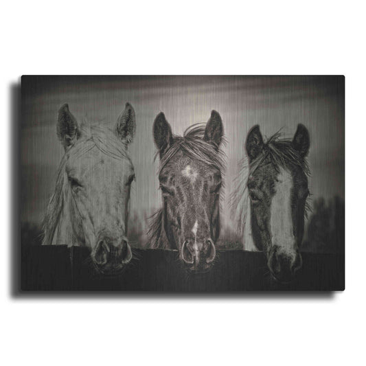 Luxe Metal Art 'Three Amigos I' by PH Burchett, Metal Wall Art