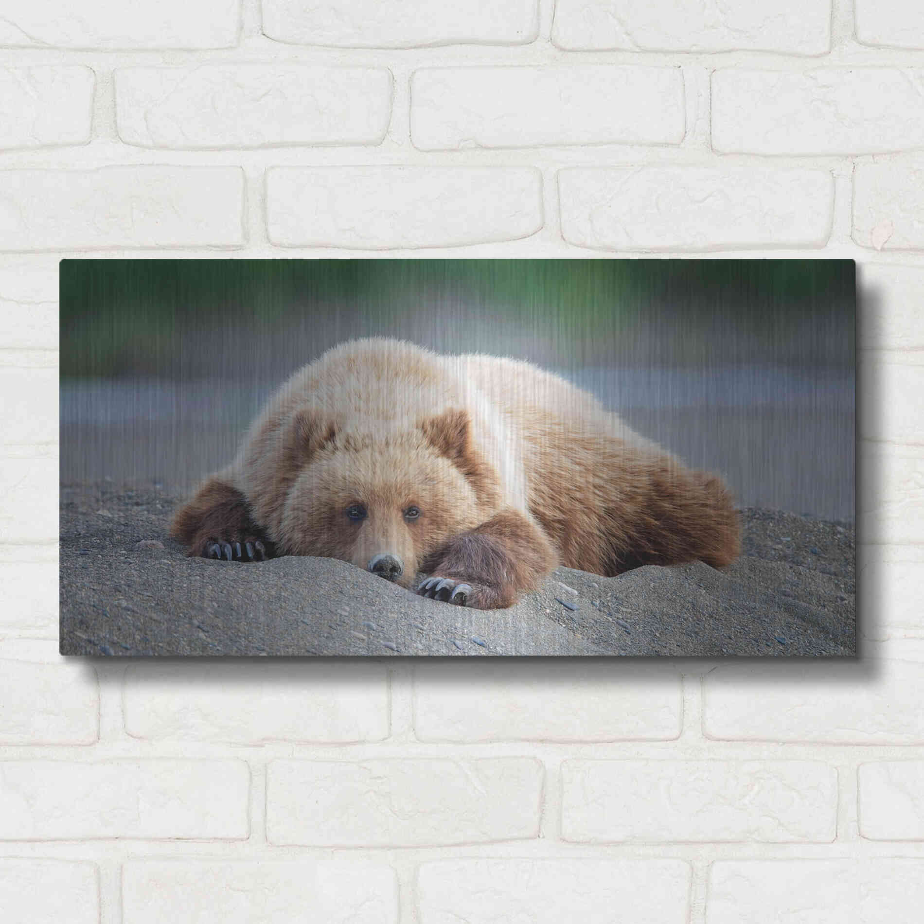 Luxe Metal Art 'Bear Life X' by PH Burchett, Metal Wall Art,24x12