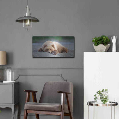 Luxe Metal Art 'Bear Life X' by PH Burchett, Metal Wall Art,24x12