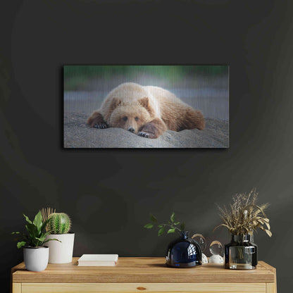 Luxe Metal Art 'Bear Life X' by PH Burchett, Metal Wall Art,24x12