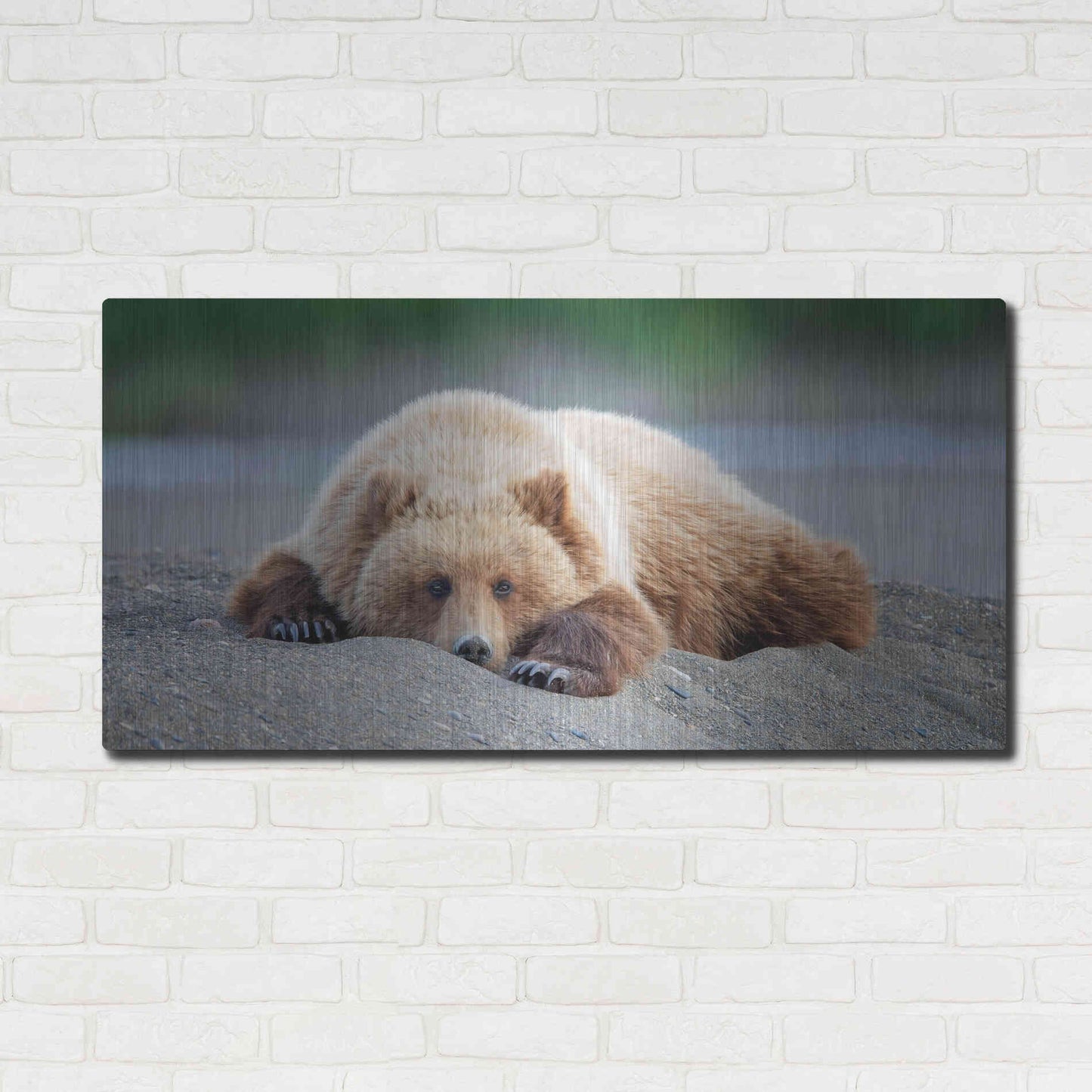 Luxe Metal Art 'Bear Life X' by PH Burchett, Metal Wall Art,48x24