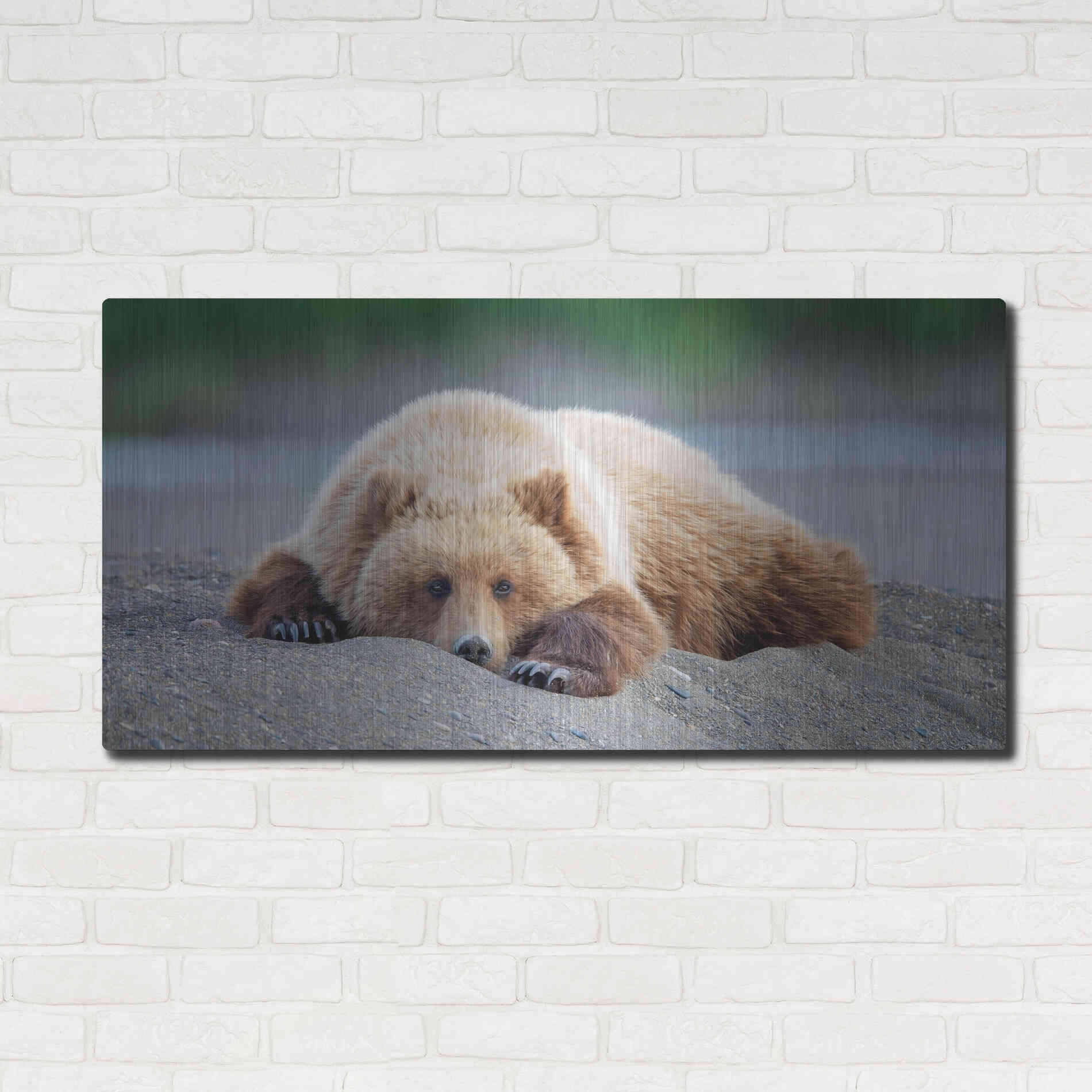 Luxe Metal Art 'Bear Life X' by PH Burchett, Metal Wall Art,48x24