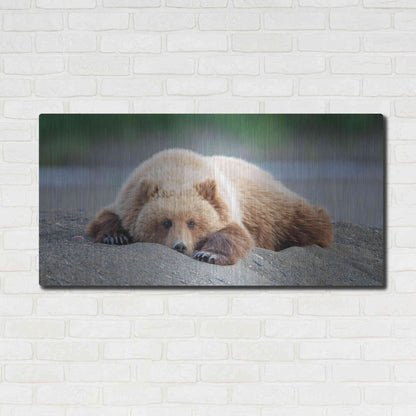Luxe Metal Art 'Bear Life X' by PH Burchett, Metal Wall Art,48x24