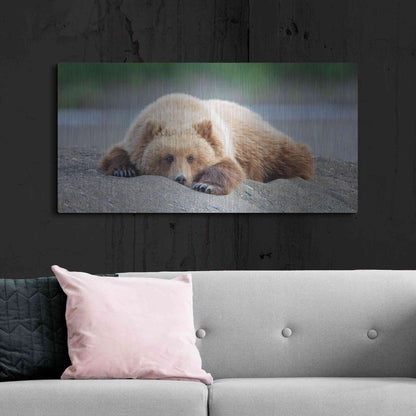 Luxe Metal Art 'Bear Life X' by PH Burchett, Metal Wall Art,48x24