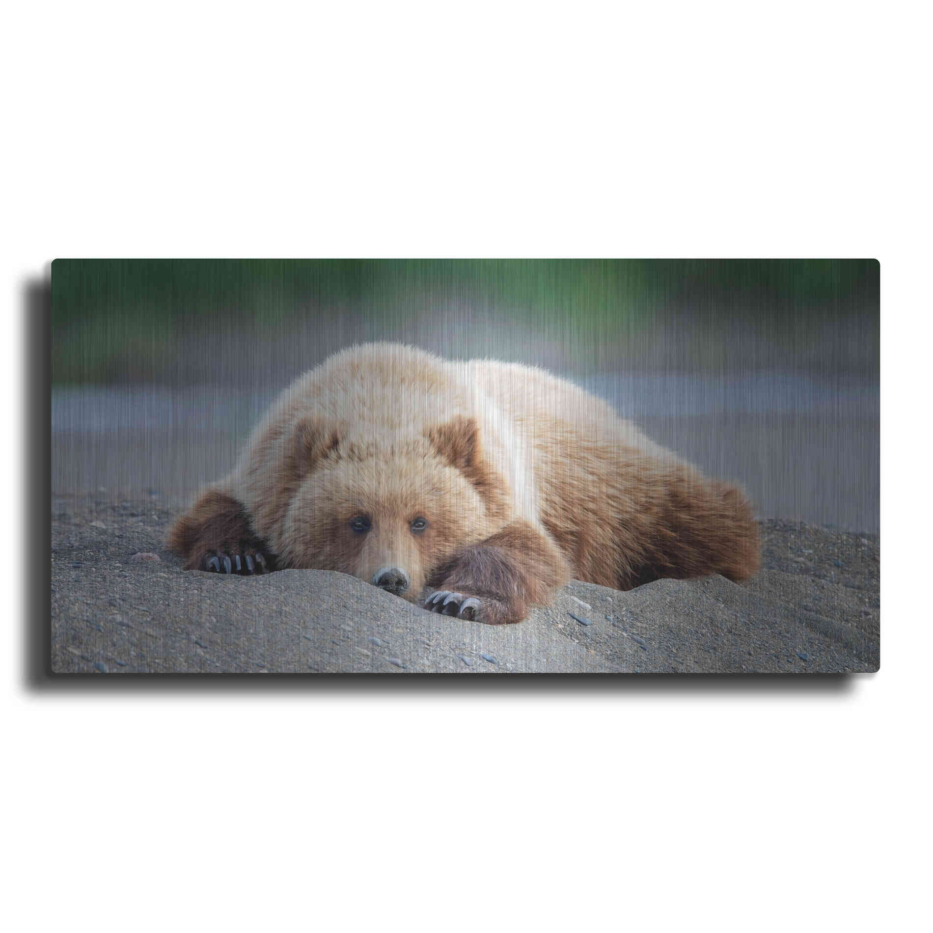 Luxe Metal Art 'Bear Life X' by PH Burchett, Metal Wall Art