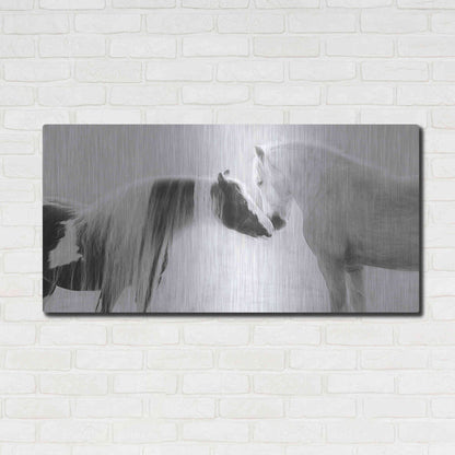 Luxe Metal Art 'Collection of Horses III' by PH Burchett, Metal Wall Art,48x24